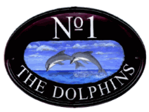 Dolphins leaping - artwork painted from a photo in a wildlife book - painted on a New World plaque