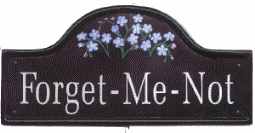 Forget-Me-Not spray - artwork painted from real live flowers in  the garden  painted on a large mews plaque