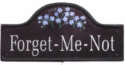 Forget-Me-Not spray - artwork painted from real live flowers in the garden painted on a large mews plaque