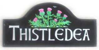 Scottish Thistles - painted by Jean on a large mews plaque with celtic font