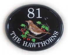 Thrush on a Hawthorn branch - painted on a large classic oval plaque.