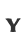 Y