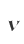 v