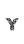 Y