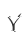 Y
