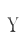 y