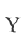 Y
