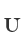 U