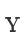 Y