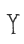 Y