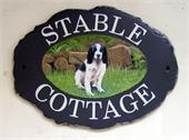 cocker-spaniel-sign