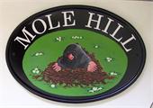 mole-house-sign