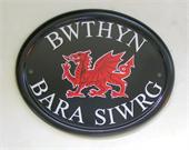 red-welsh-dragon-sign